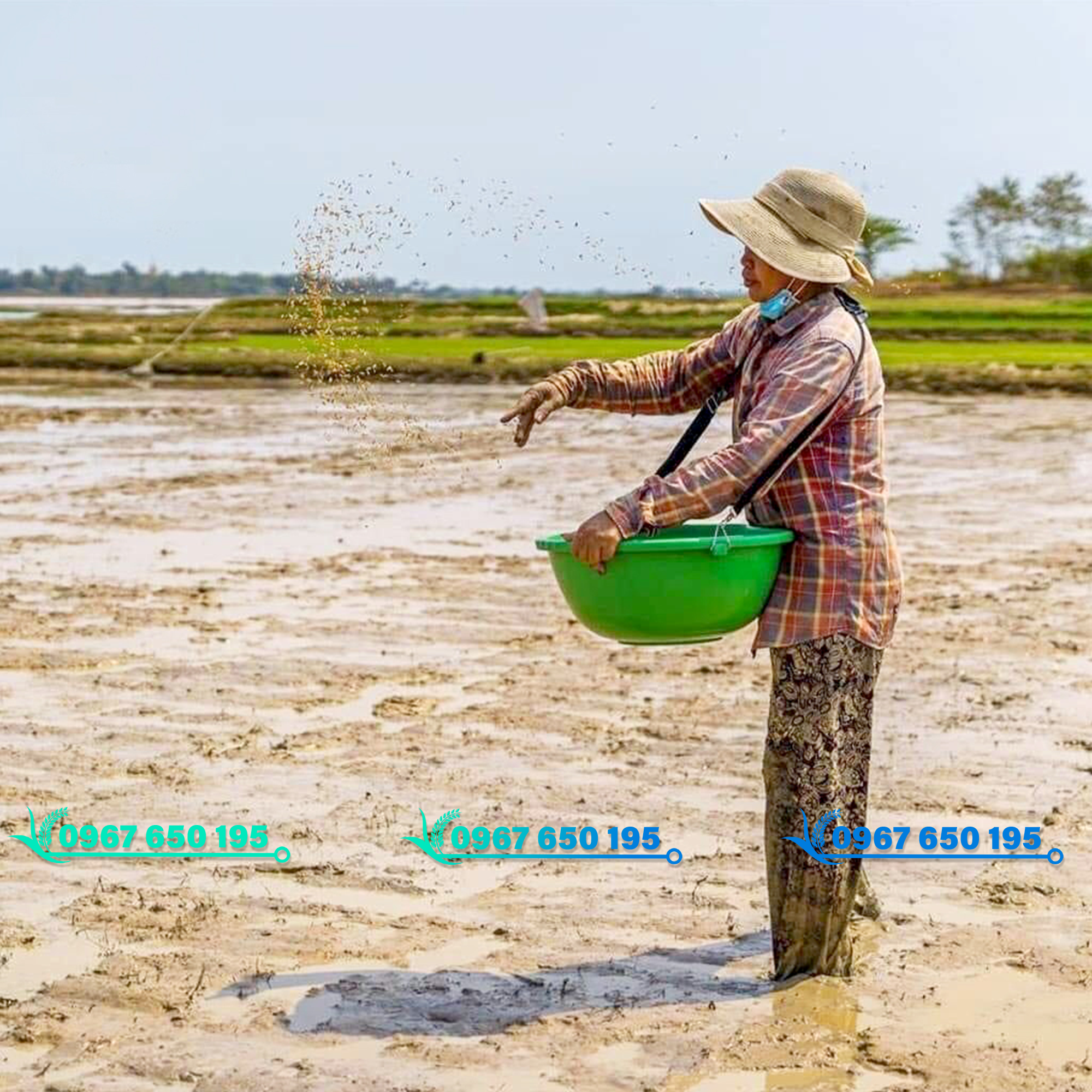 Công ty TNHH MTV sản xuất thương mại nhựa Hồ Gia